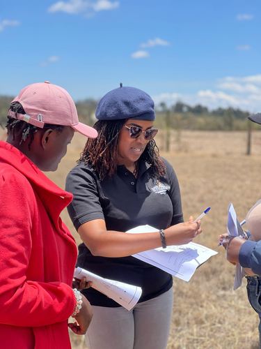 Reviewing the partition plan on site