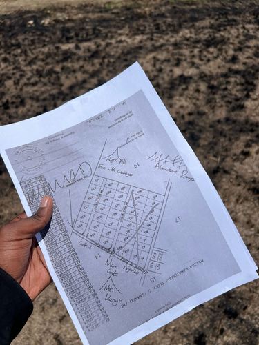 Survey plan showing how the land is divided into plots